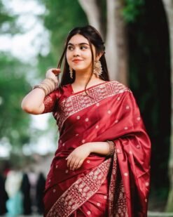 প্রিমিয়াম বধুয়া বেনারসি জাপানি সিল্ক শাড়ী  + ম্যাচিং ব্লাউজ পিস SC-03