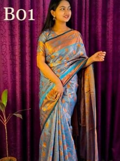 Code-B01 কাঞ্জিভরম কাতান শাড়ি ব্লাউজ পিসসহ