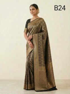 Code-B24 কাঞ্জিভরম কাতান শাড়ি ব্লাউজ পিসসহ